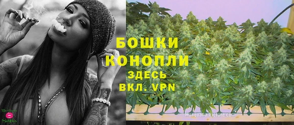 стаф Богородицк