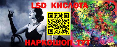 стаф Ярославль