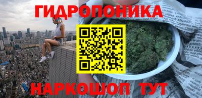 стаф Ярославль