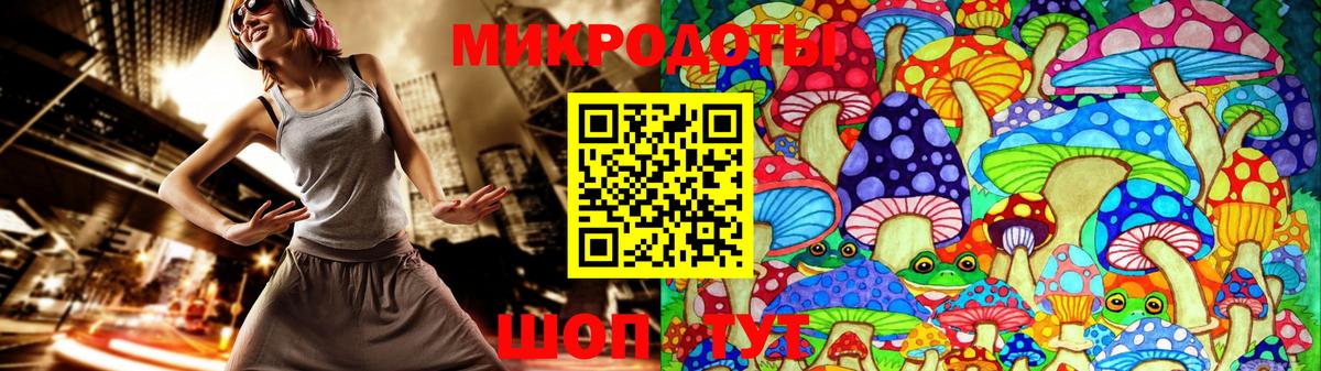 Псилоцибиновые грибы Psilocybe Великий Устюг