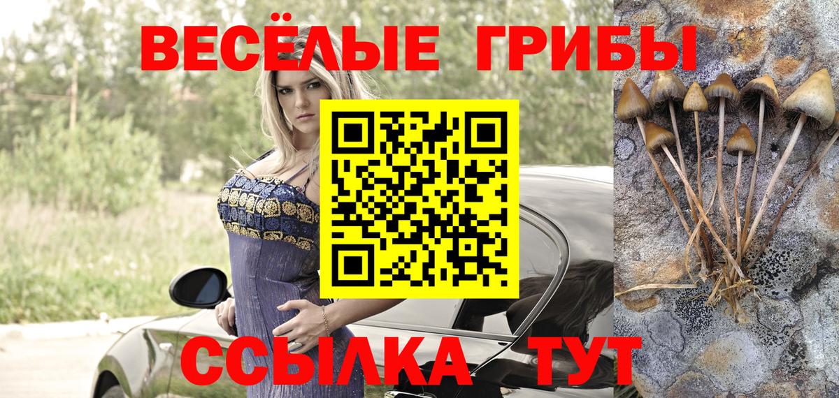 Галлюциногенные грибы ЛСД  Псилоцибиновые грибы Psilocybe  Вход с VPN  Великий Устюг 